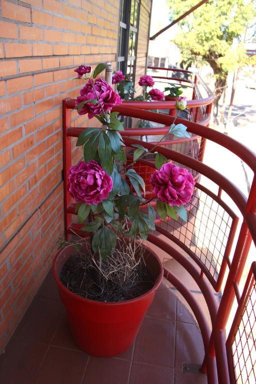Hosteria Maryland Posadas Ngoại thất bức ảnh